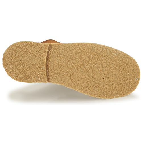 Citrouille et Compagnie - HOVETTE Camel