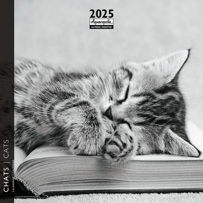 Calendrier mensuel 16x16 cm - 16 mois - Chats N&B