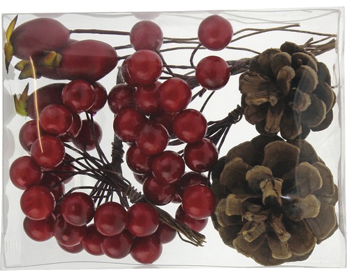 Decoratief materiaal: dennenappels, bessen en rozenbottels (rood, bruin)