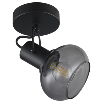 GAMMA opbouwspot Este 1-lichts zwart-glas