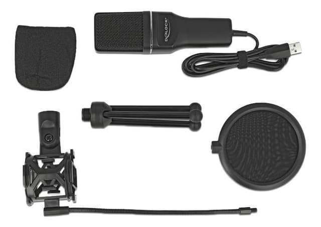 Delock USB kondensatormikrofonsæt