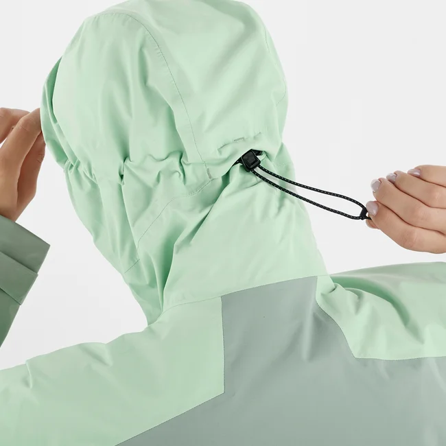 OUTERPATH PRO 2.5L  Shelljacke Damen