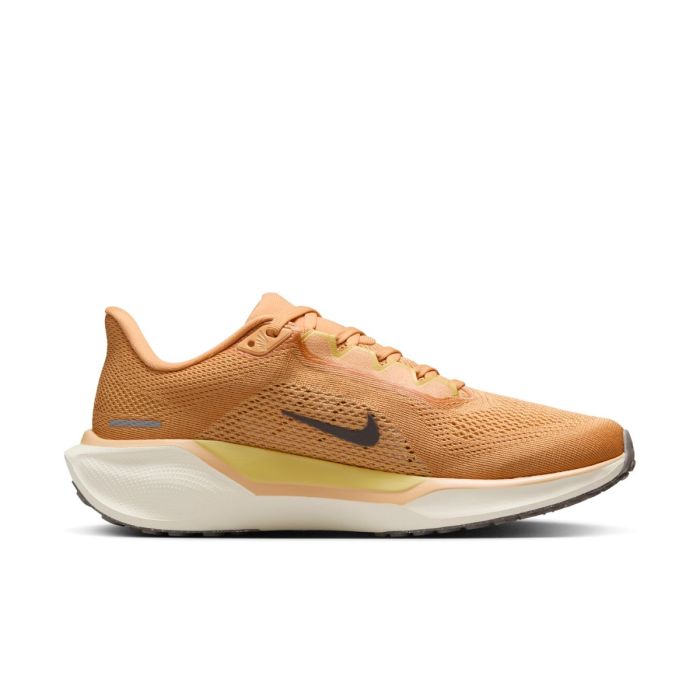 Nike Dame Løbesko Pegasus 41 Brun