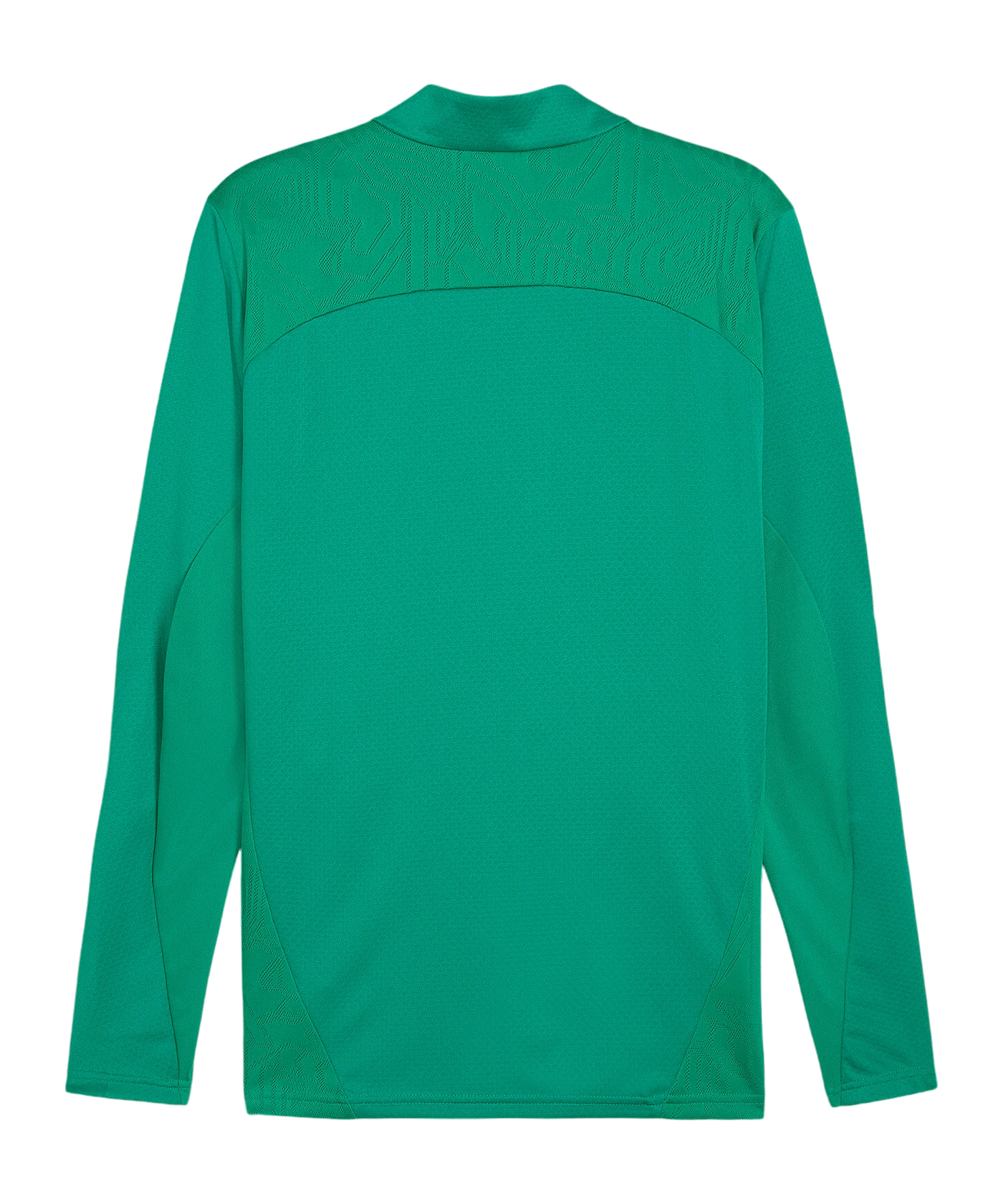 PUMA teamFINAL Trainingsjacke Grün F05