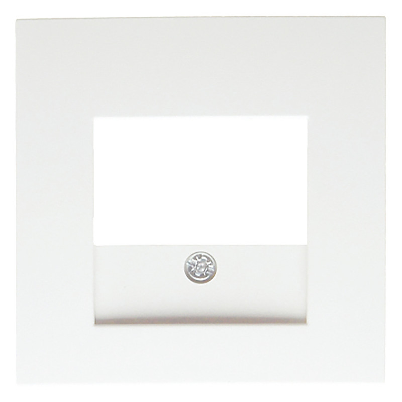 Berker S1 centraalplaat USB Mat wit