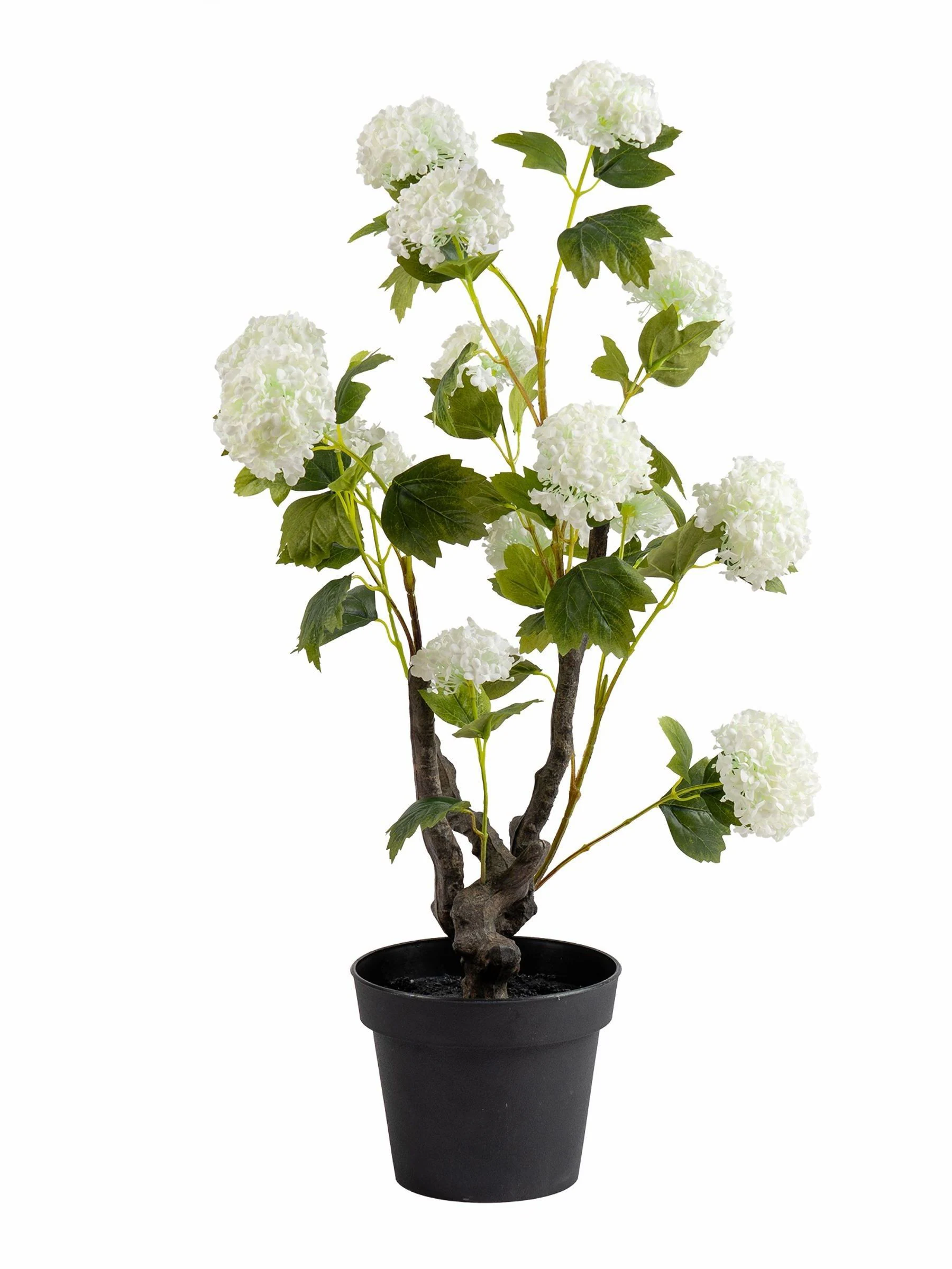Scottish Everlastings Ltd Artificial Potted Hydrangea Plant