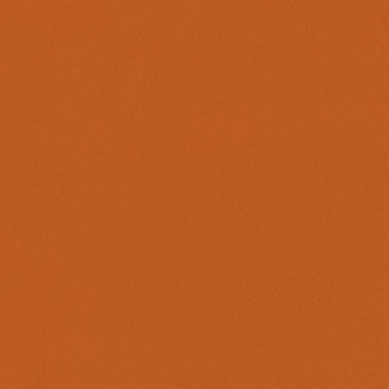 Gordijn Jack 1305 orange