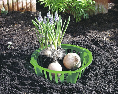 Windhager bloembollenpot Ø 22 cm 3 stuks