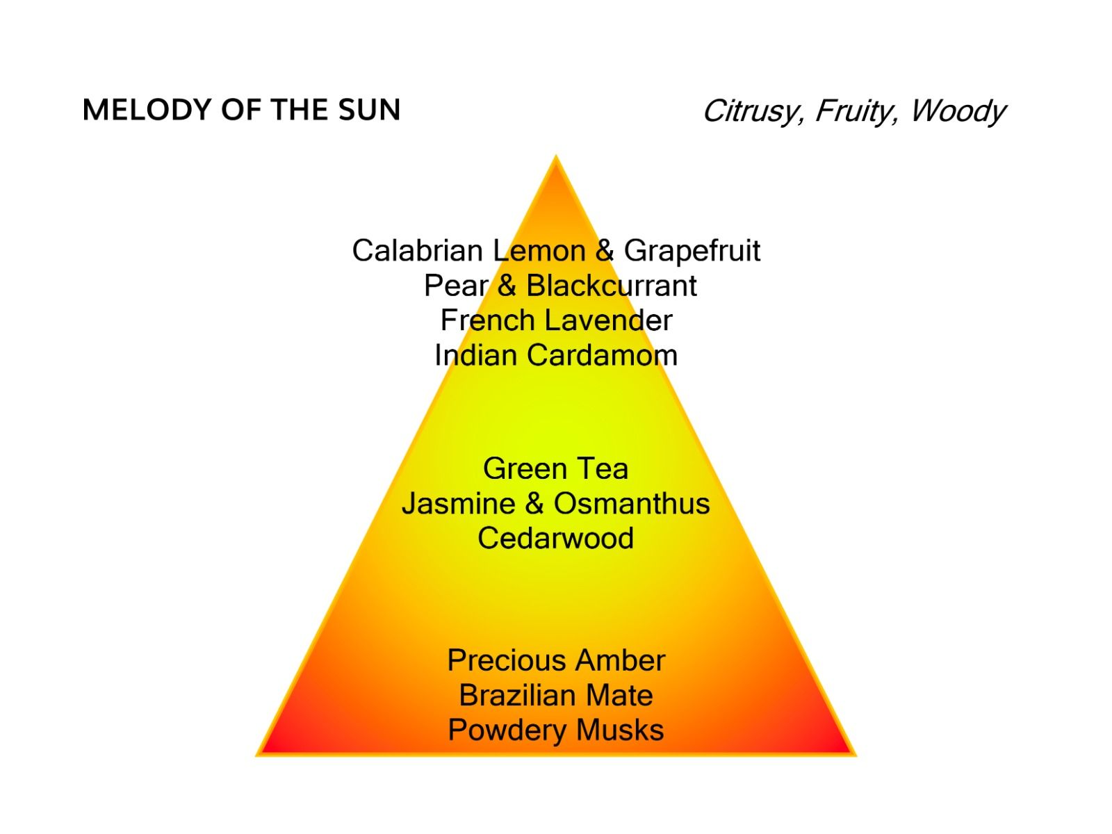 Mancera Melody of the Sun