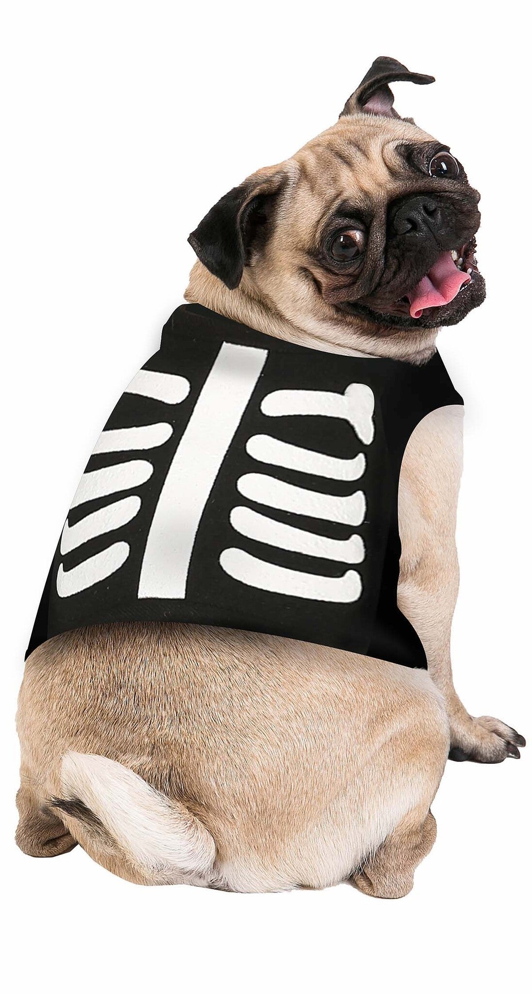 Halloween Dieren Kostuum Skelet