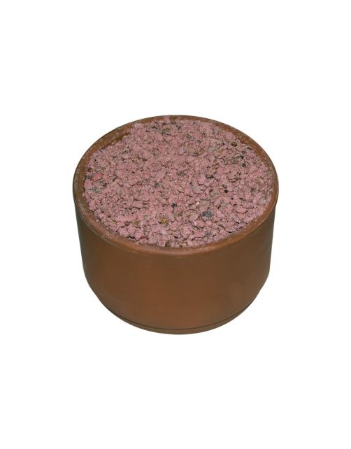 Teurlings Pikpot Rood - Duivensupplement - per stuk