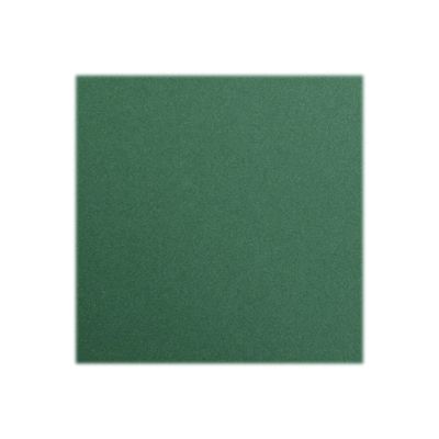 Clairefontaine Maya - Papier à dessin - 50 x 70 cm - 270 g/m² - vert antique