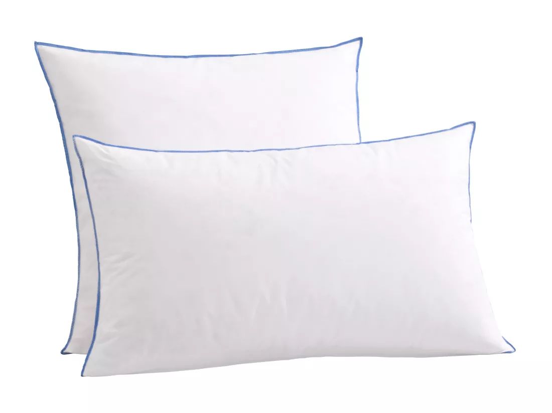 Lot de 2 oreillers moelleux/ferme duvet de canard anti-allergènes Someo 60x60