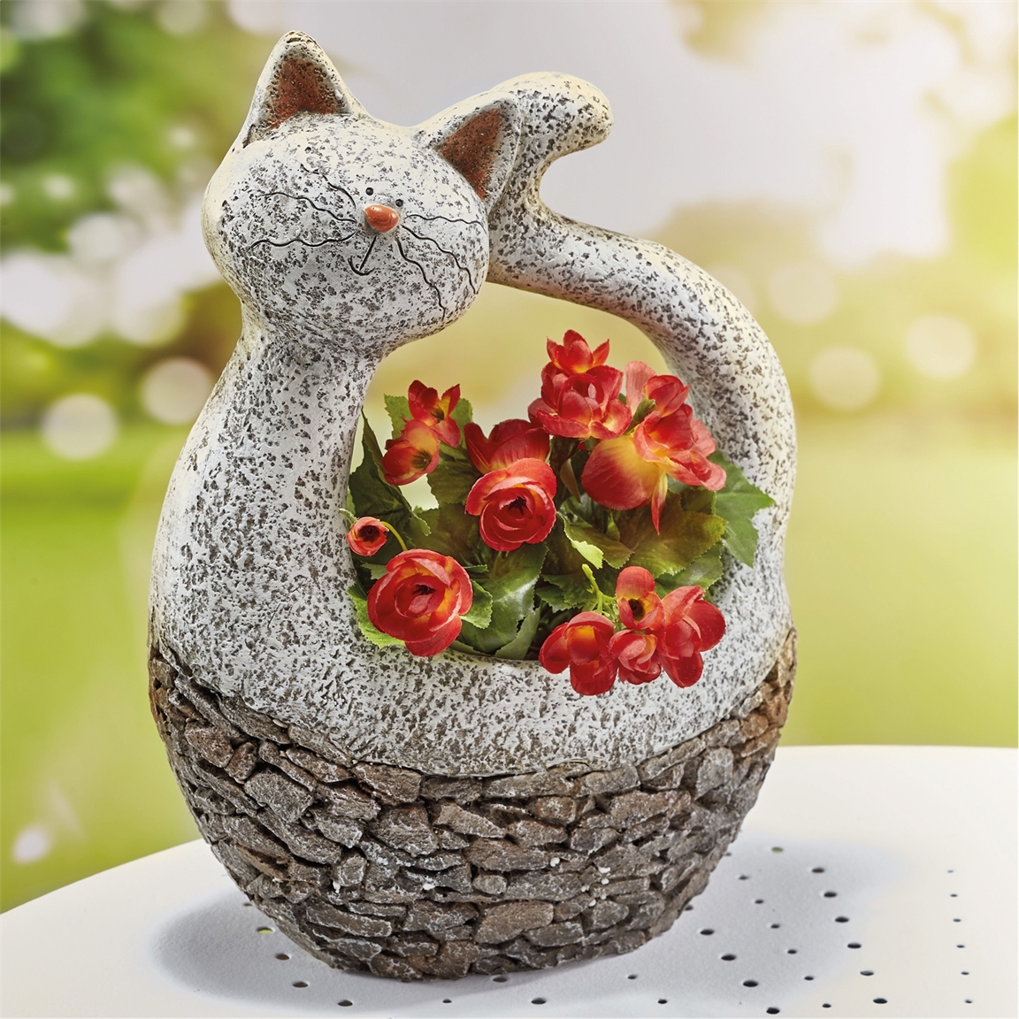 Chat porte plantes
