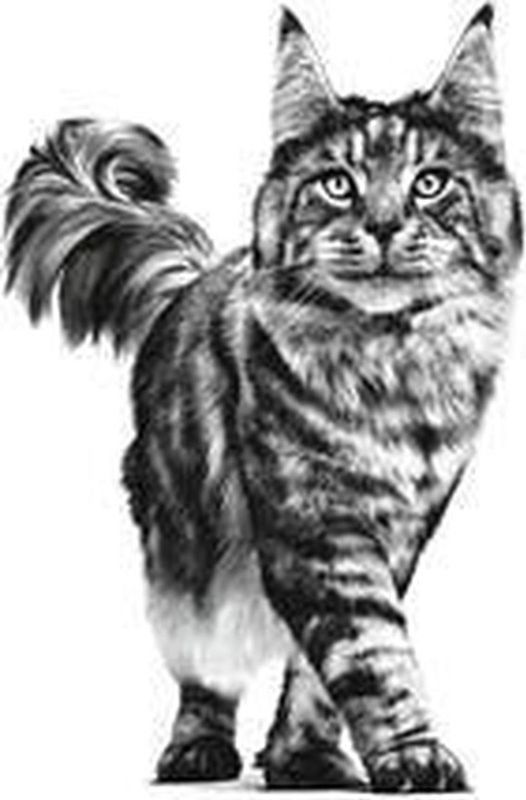 Royal Canin - Sensitivity Control - Kattenvoer - Nat - 12x85gr