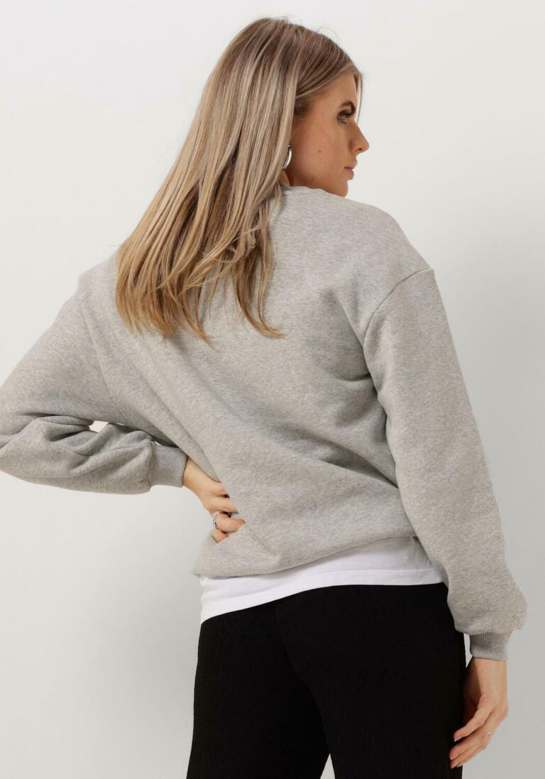 ALIX THE LABEL grijze alix the label trui ladies knitted the label sweater