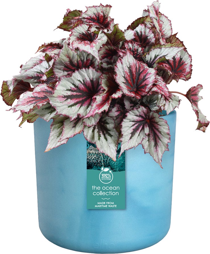 Elho bloempot The Ocean Collection blauw D 13,8 H 12,5 cm