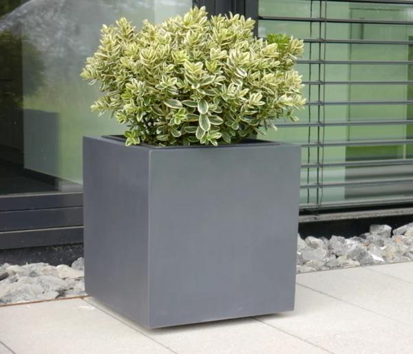 Eastwest Fiberglas-Pflanzkübel mit