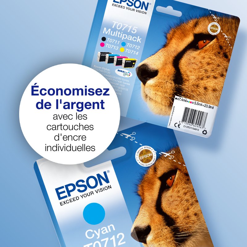Cartouche d'encre Epson GUEPARD NOIR