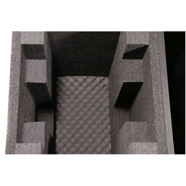 Thon Case BSW-100 LED 2in1