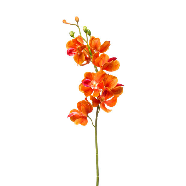 Kunstbloem Mokara - 54cm - oranje
