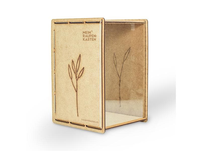 Mein Raupenkasten Insektenhotel Raupenkasten Aufzucht-Box
