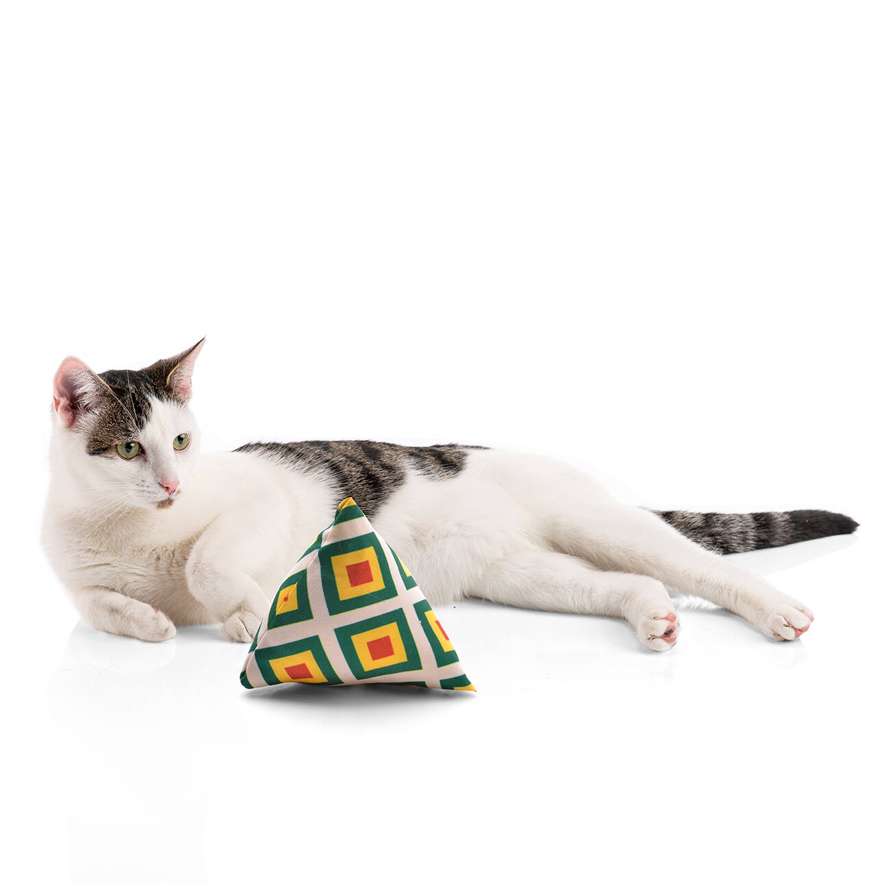 Canadian Cat Company Catnipspielzeug 6x Schmusepyramide Reggae Karo