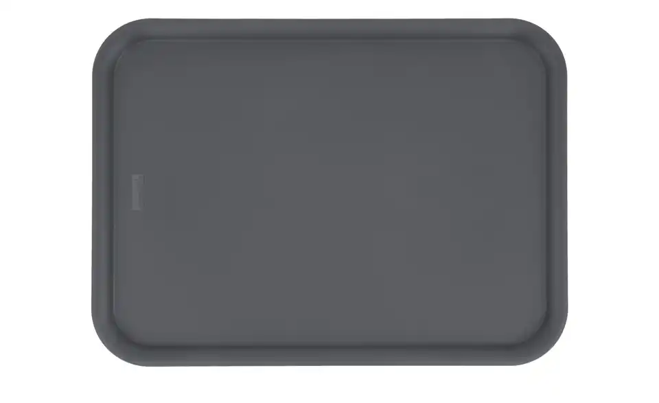 Rotho Deckel für Aufbewahrungsbox 36,5 cm