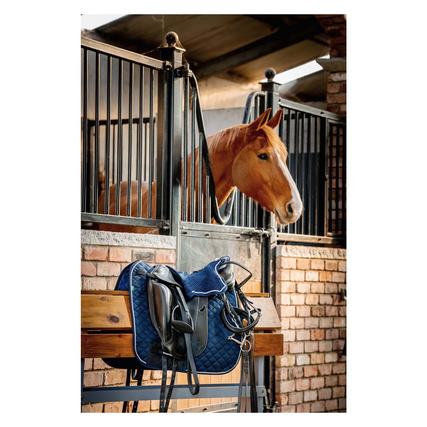 HORSEWARE Signature Schabracke  - navy
