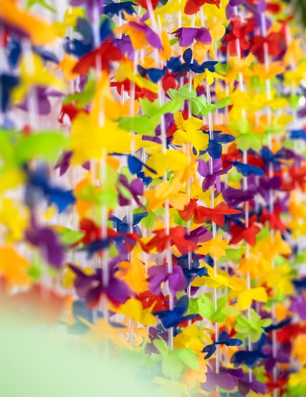 Hawaii-girlander med fargerike blomster. Size-Standard