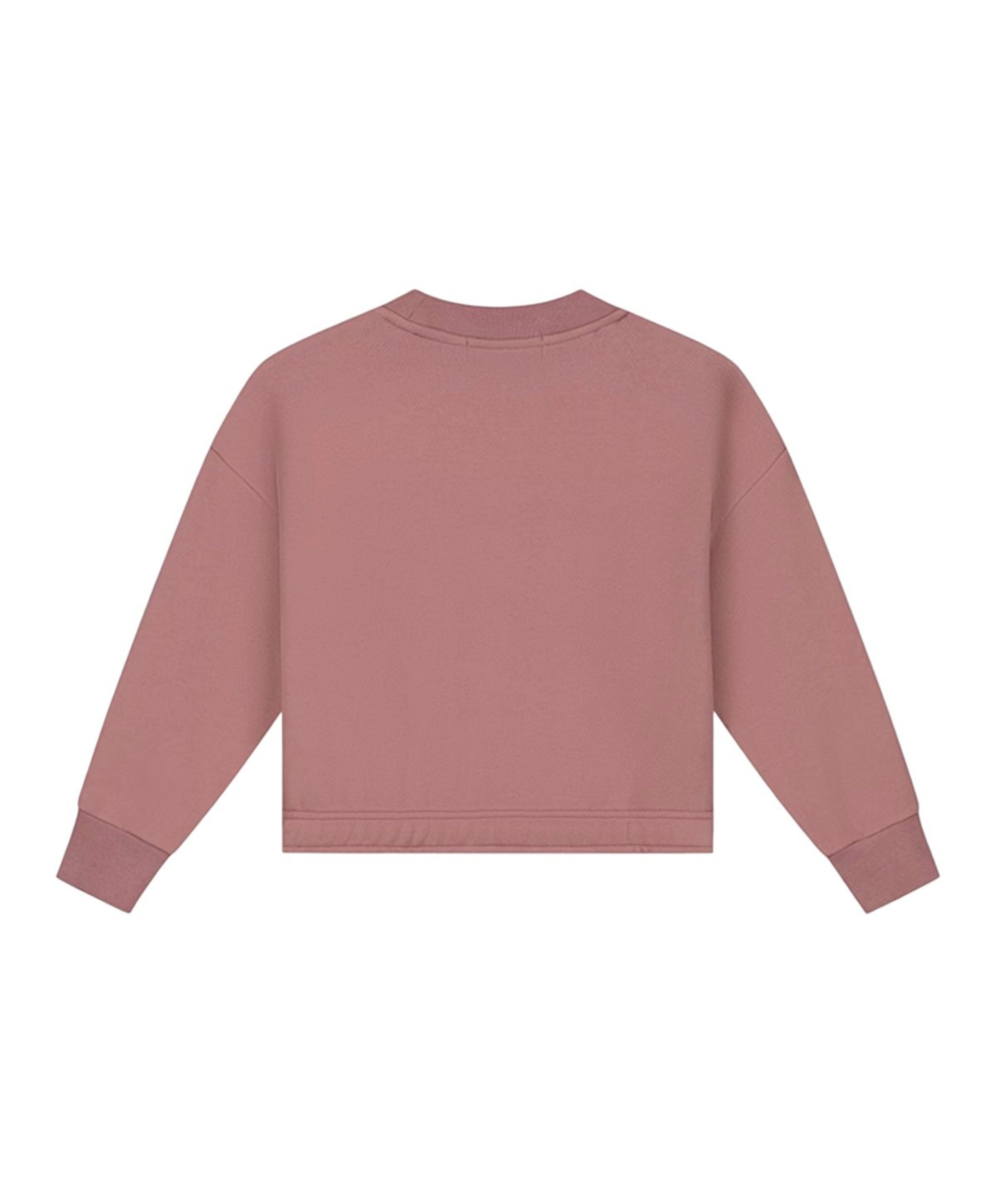 Charlie Petite Meisjes sweater roze