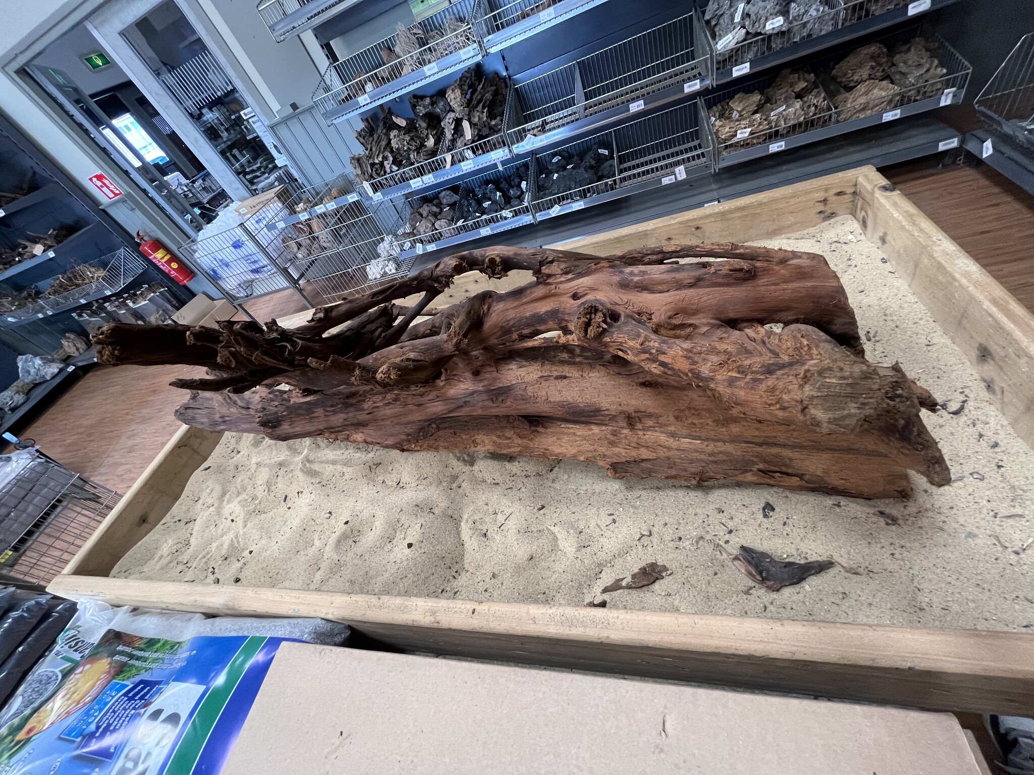 AQXL Selected Mangrovehout XL A 70-90cm