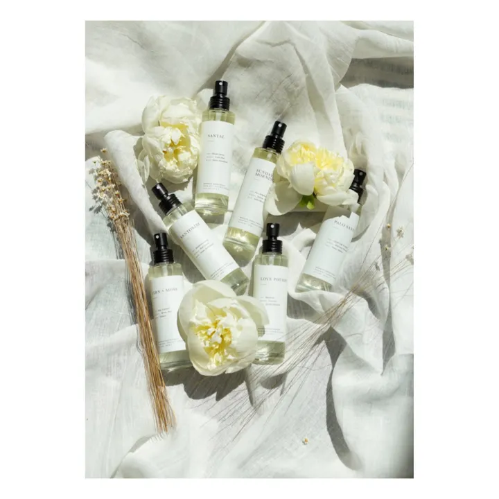 Brooklyn Candle Studio Brume parfumée Fern + Moss - 100 ml