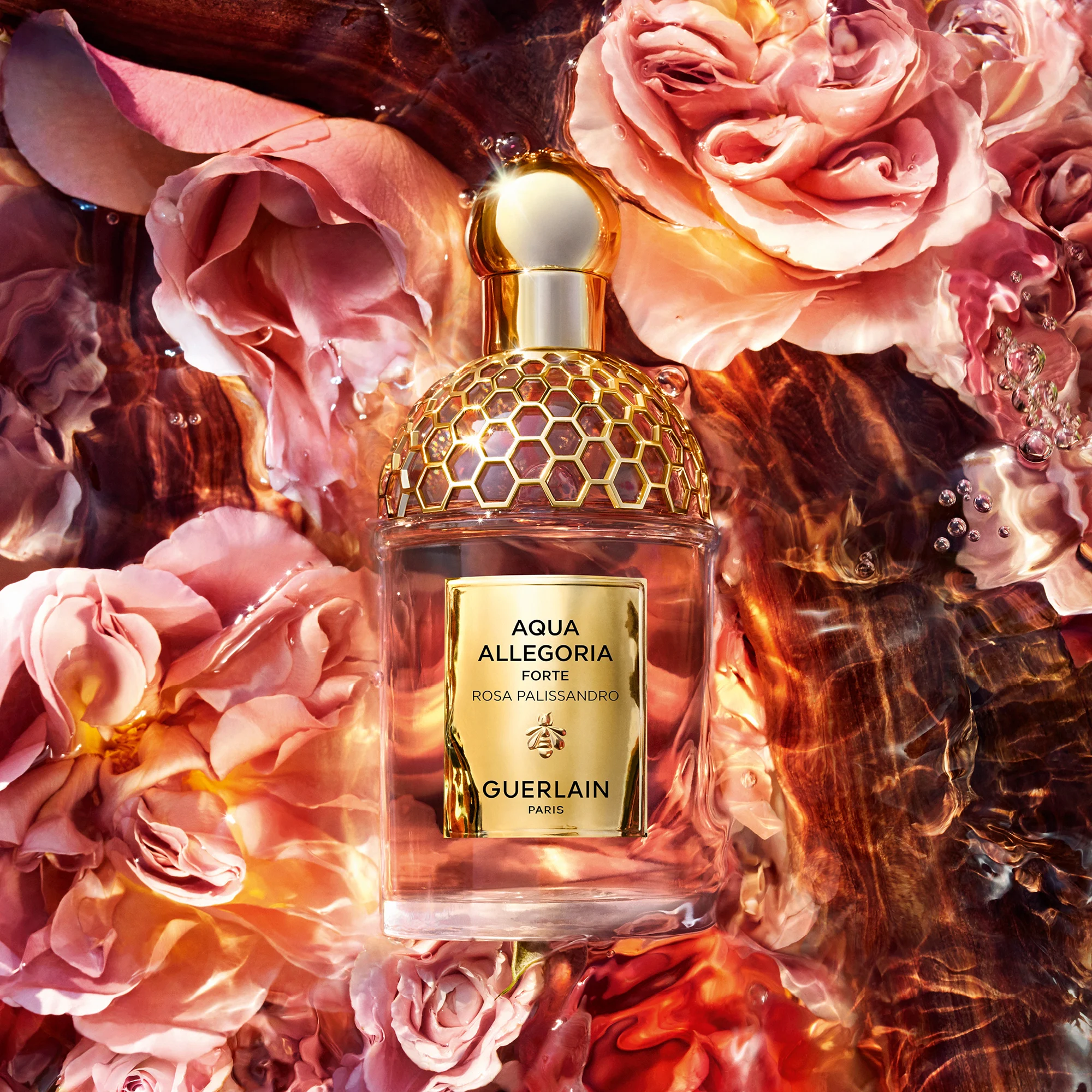 AQUA ALLEGORIA FORTE Rosa Palissandro - Eau de Parfum |