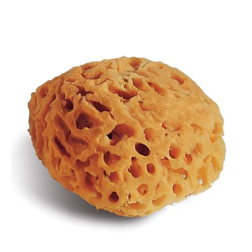 Naturschwamm