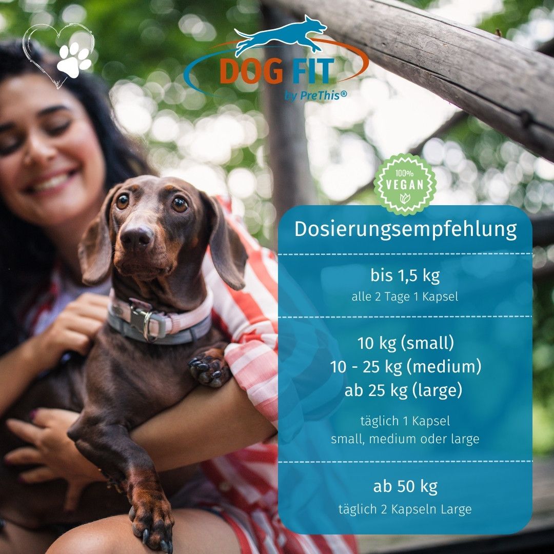 DOG FIT by PreThis® VITAMIN B für Hunde » Nerven, Inkontinenz, Bandscheibenvorfall (small)