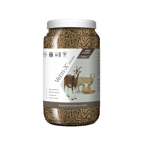 Verm-X voor Schapen en Geiten