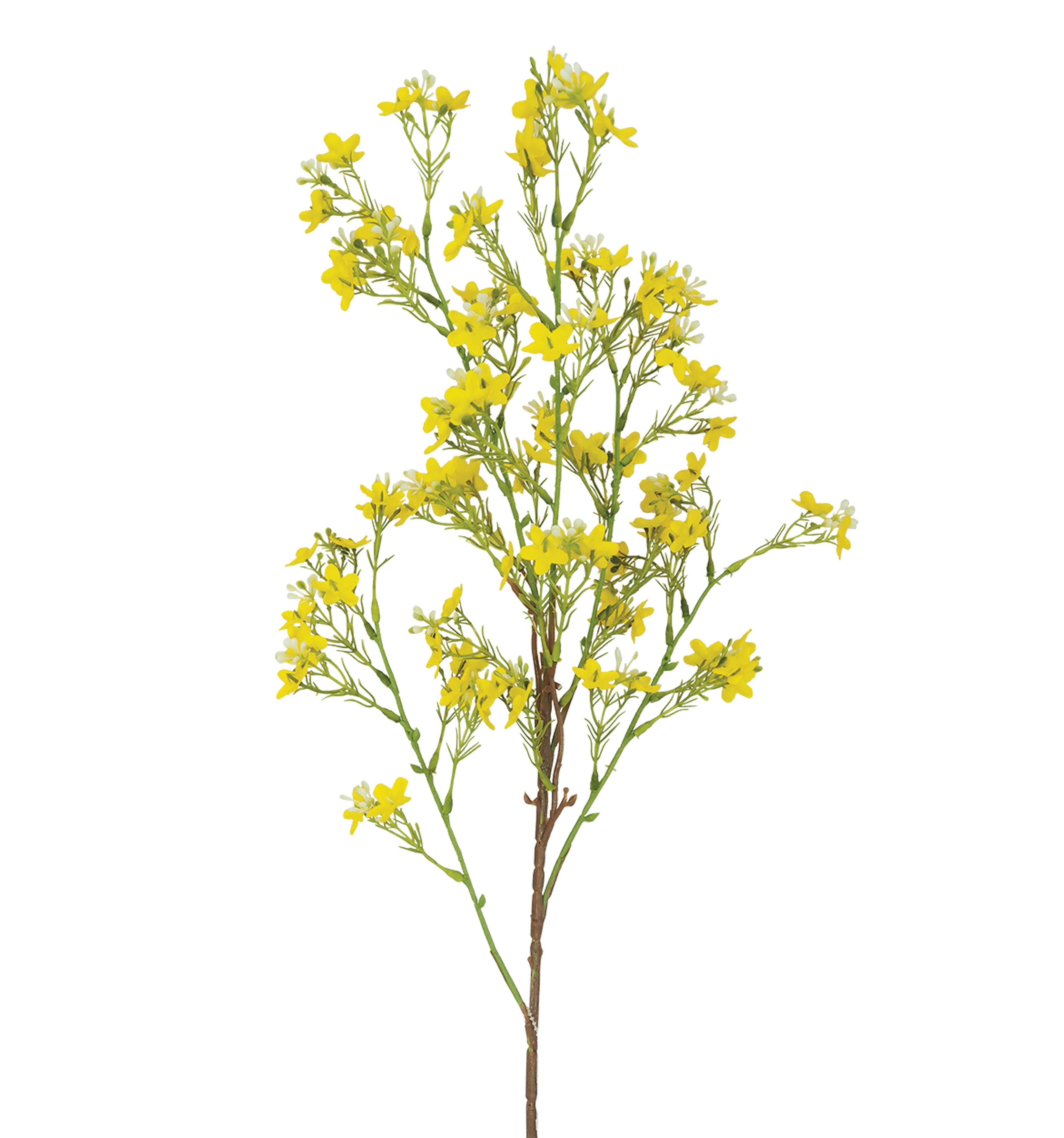 TIGE PETITE CENTAUREE H.90CM JAUNE