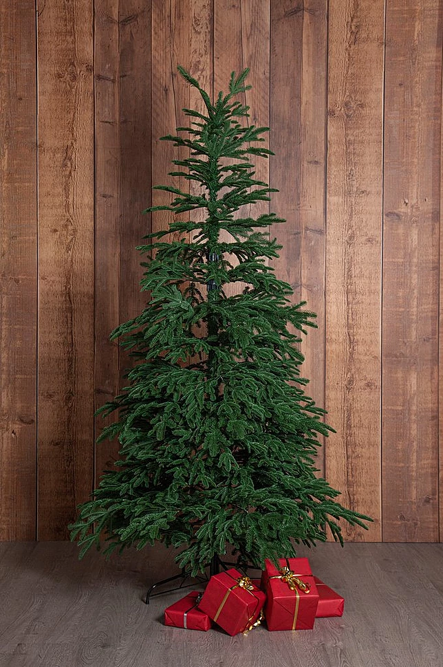 EDANE juletre naturtro utendørs høyde 210 cm