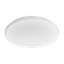 Plafond LED Ø24 cm 1000 lm 10 W