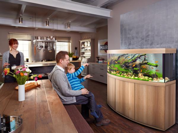 JUWEL® AQUARIUM Kombination Vision 450 LED,