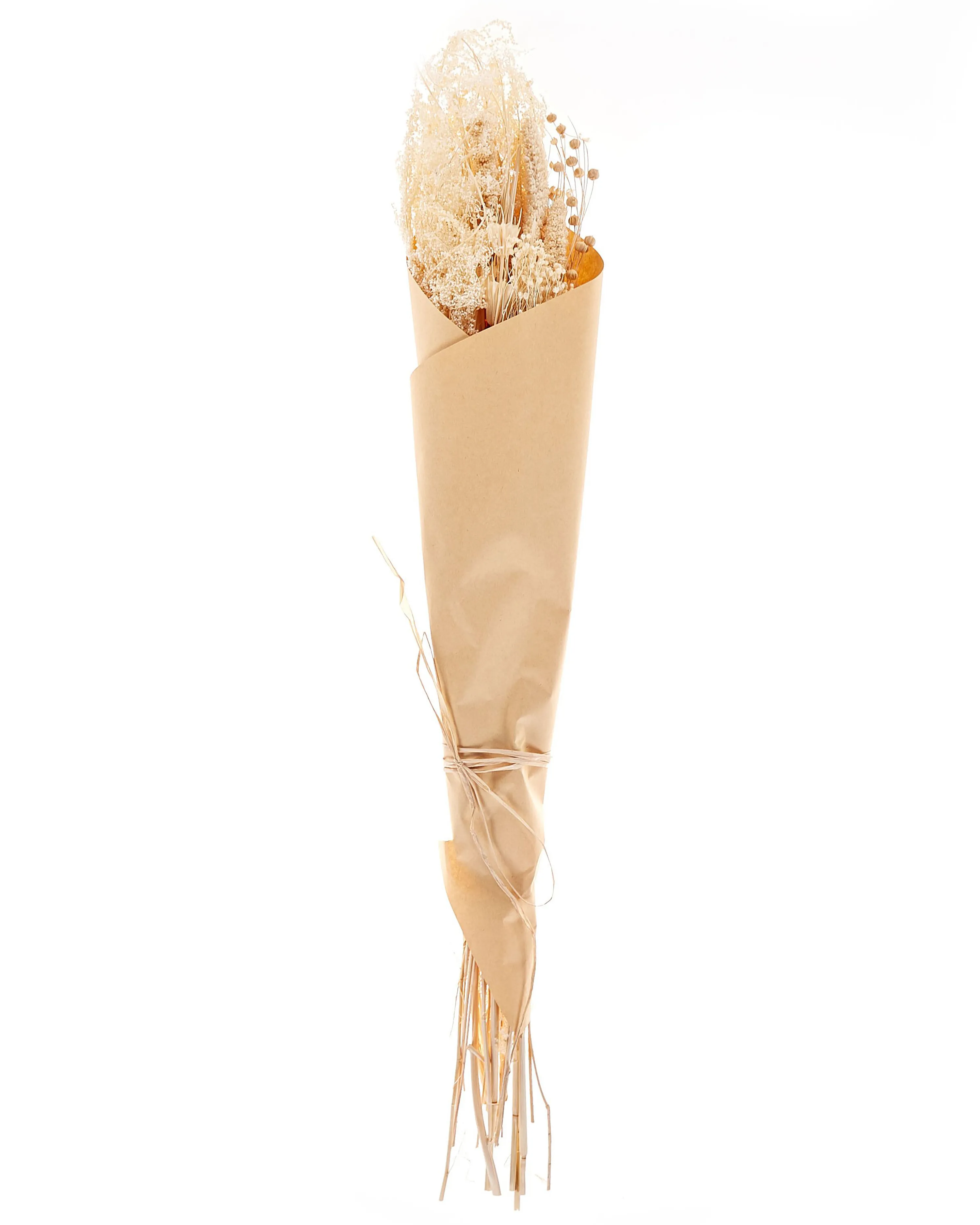 Droogbloemen boeket BRUNETE 65 cm Natuurlijk
