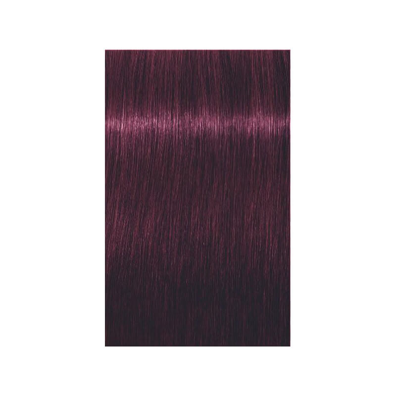 Coloration Igora Royal Schwarzkopf 60ML ( Par numéro )