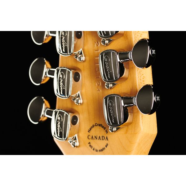 Godin A12 Black