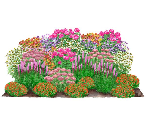 Bio Stauden-Set Blütenkollektion, Landlust