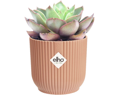 elho Vibes fold ronde mini plastic plantenbak Ø 11,1 cm H 10,5 cm roze