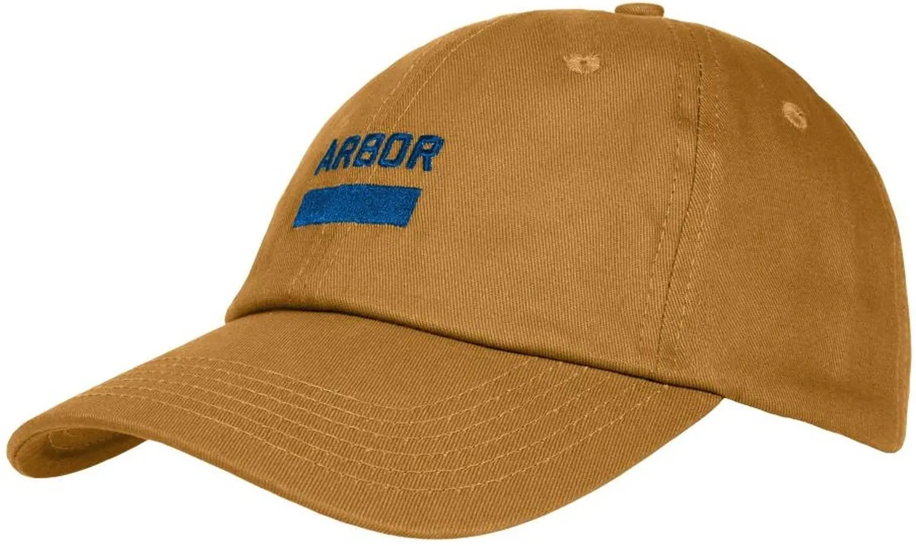 Arbor Surplus Cap | SkatePro