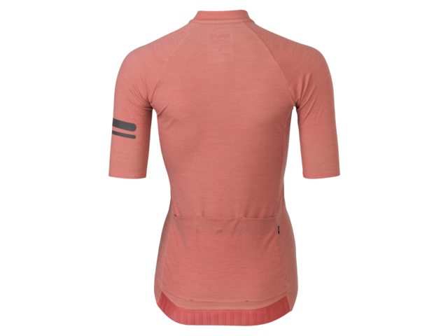 AGU Merino Performance jersey Nature Brown dame