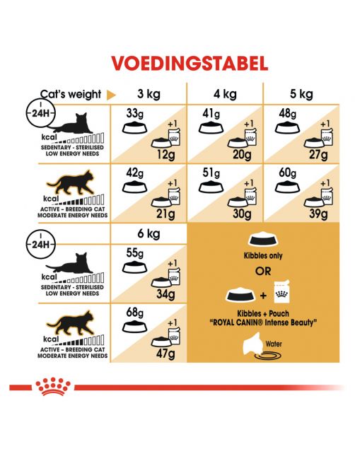 Royal Canin Siamese Adult - Kattenvoer