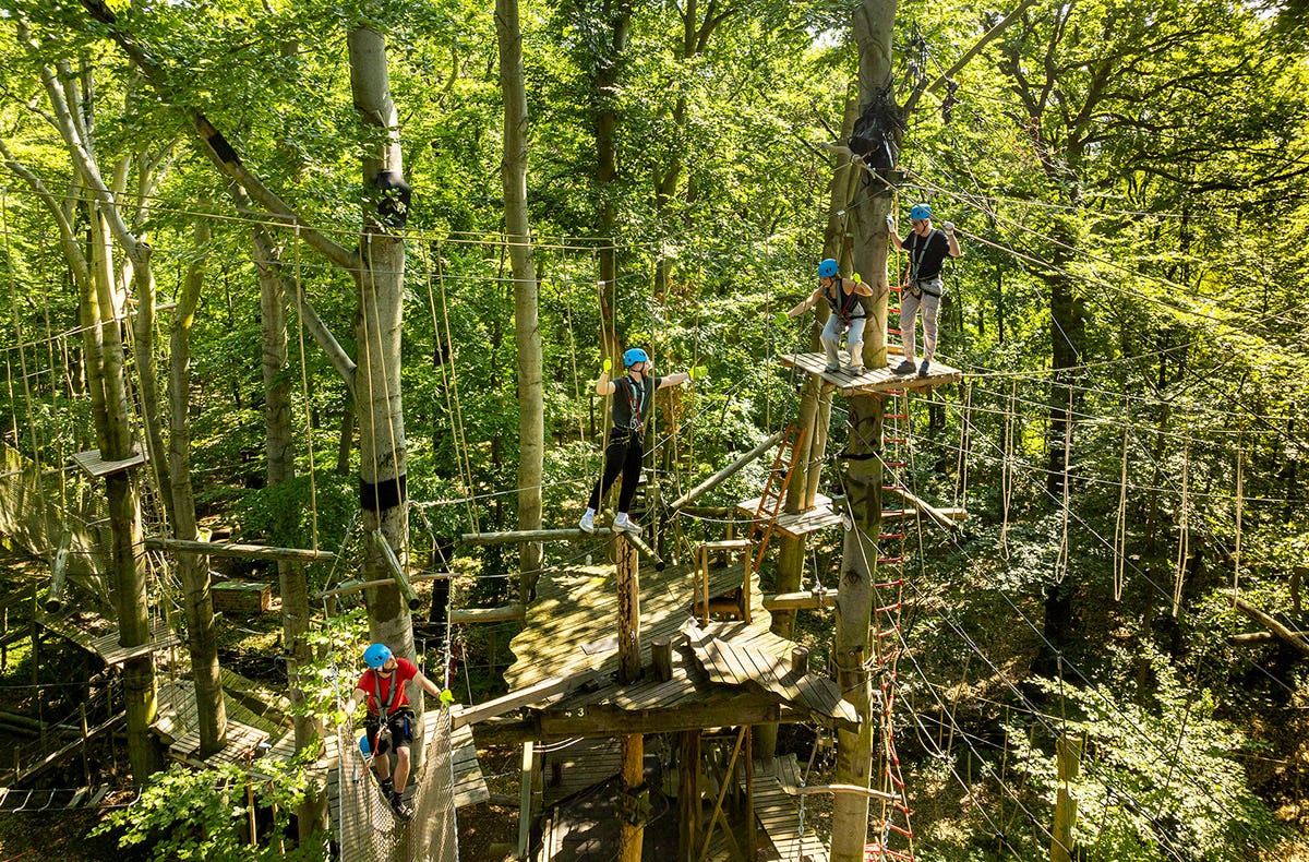 Kletterpark Potsdam (3 Std.)